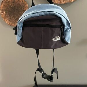 The North Face Light Blue and Black Belt Bag